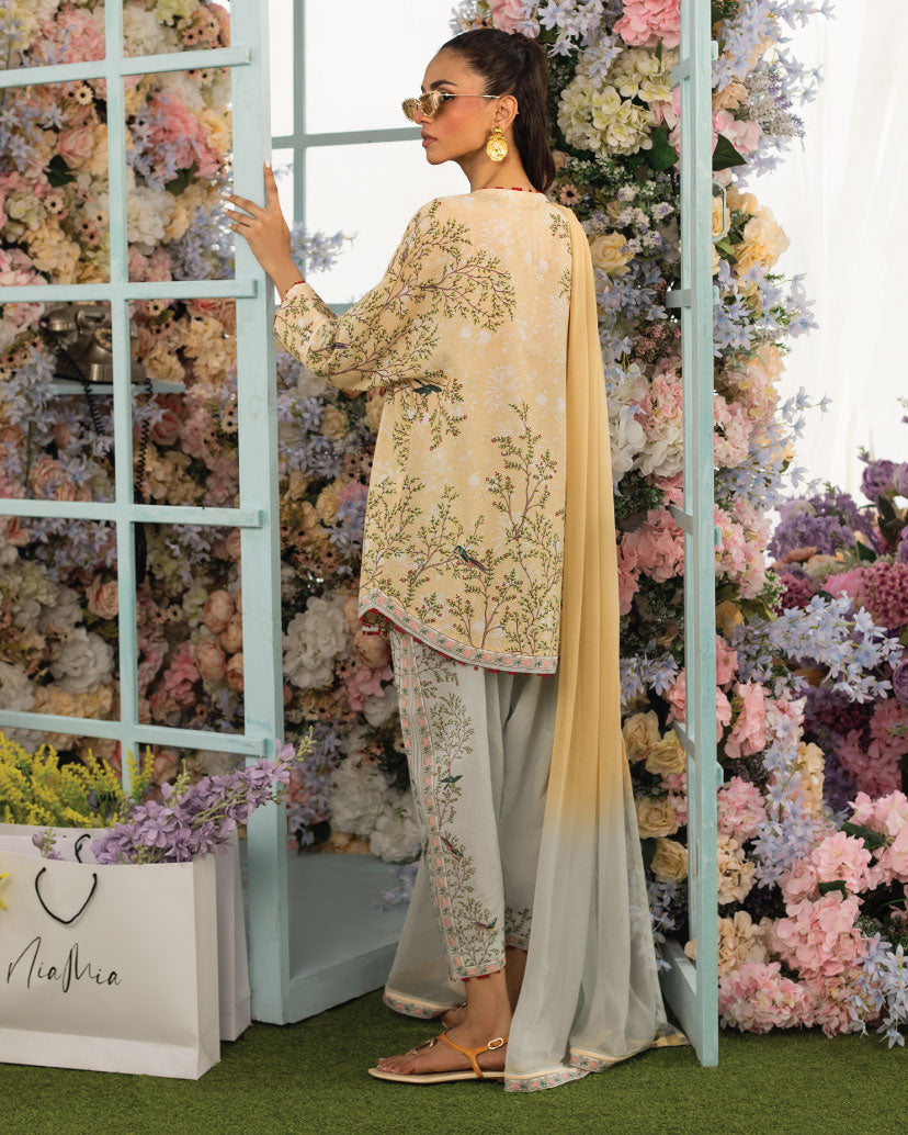Subtle Grace - Classic Lawn Kurta Set
